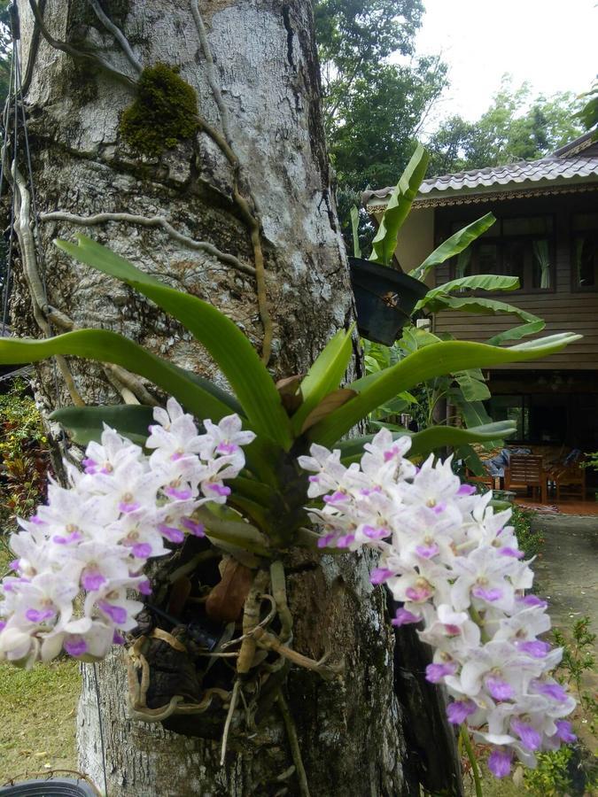 Koh Kood Little Hut Hotel Ko Kut Buitenkant foto