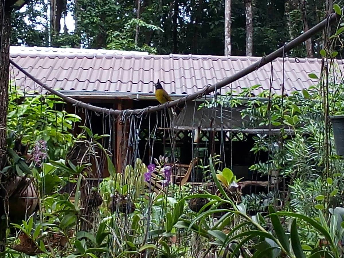 Koh Kood Little Hut Hotel Ko Kut Buitenkant foto