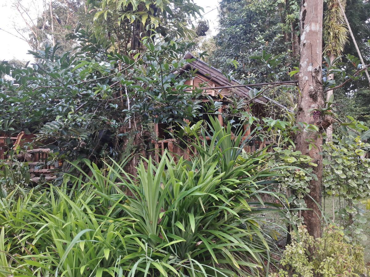 Koh Kood Little Hut Hotel Ko Kut Buitenkant foto